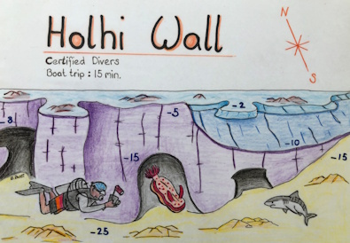 Holhi Wall